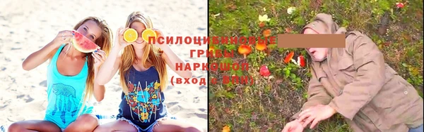 Альфа ПВП Магадан