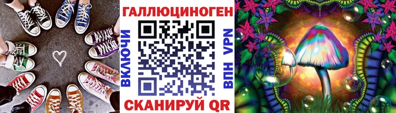 Купить закладки  Новый Оскол  Галлюциногенные грибы Psilocybine cubensis 