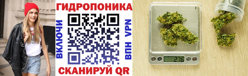 Купить закладки  Новый Оскол  Бошки Шишки марихуана 
